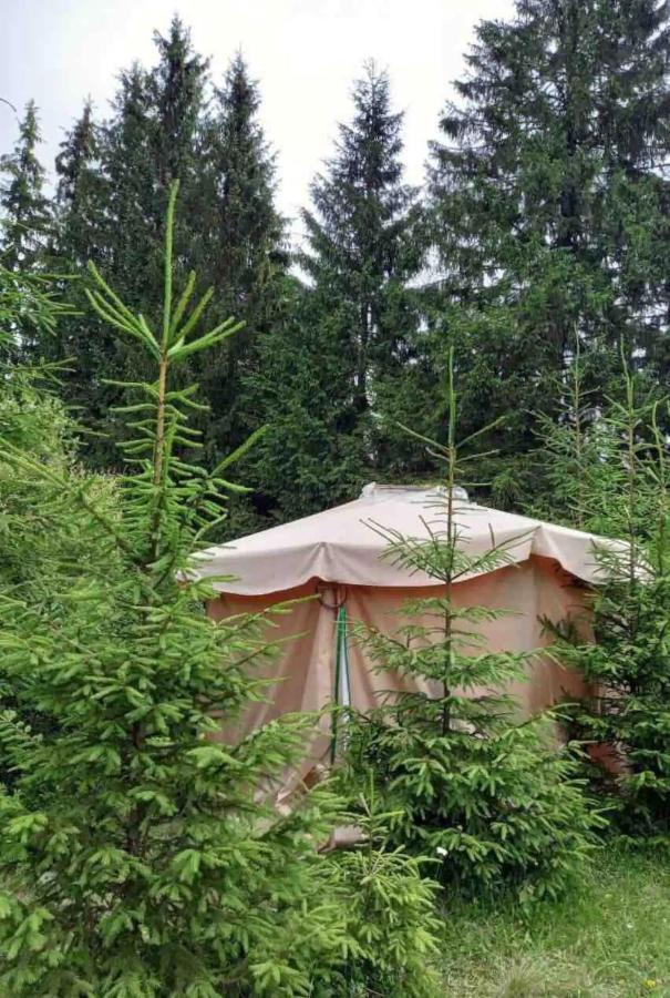 ורחובינה Eco Glamping - Carpathians. Retreat Hub Dzin Space מראה חיצוני תמונה