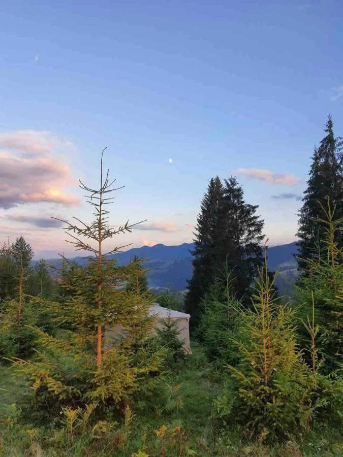 ורחובינה Eco Glamping - Carpathians. Retreat Hub Dzin Space מראה חיצוני תמונה