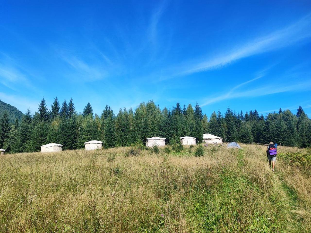 ורחובינה Eco Glamping - Carpathians. Retreat Hub Dzin Space מראה חיצוני תמונה